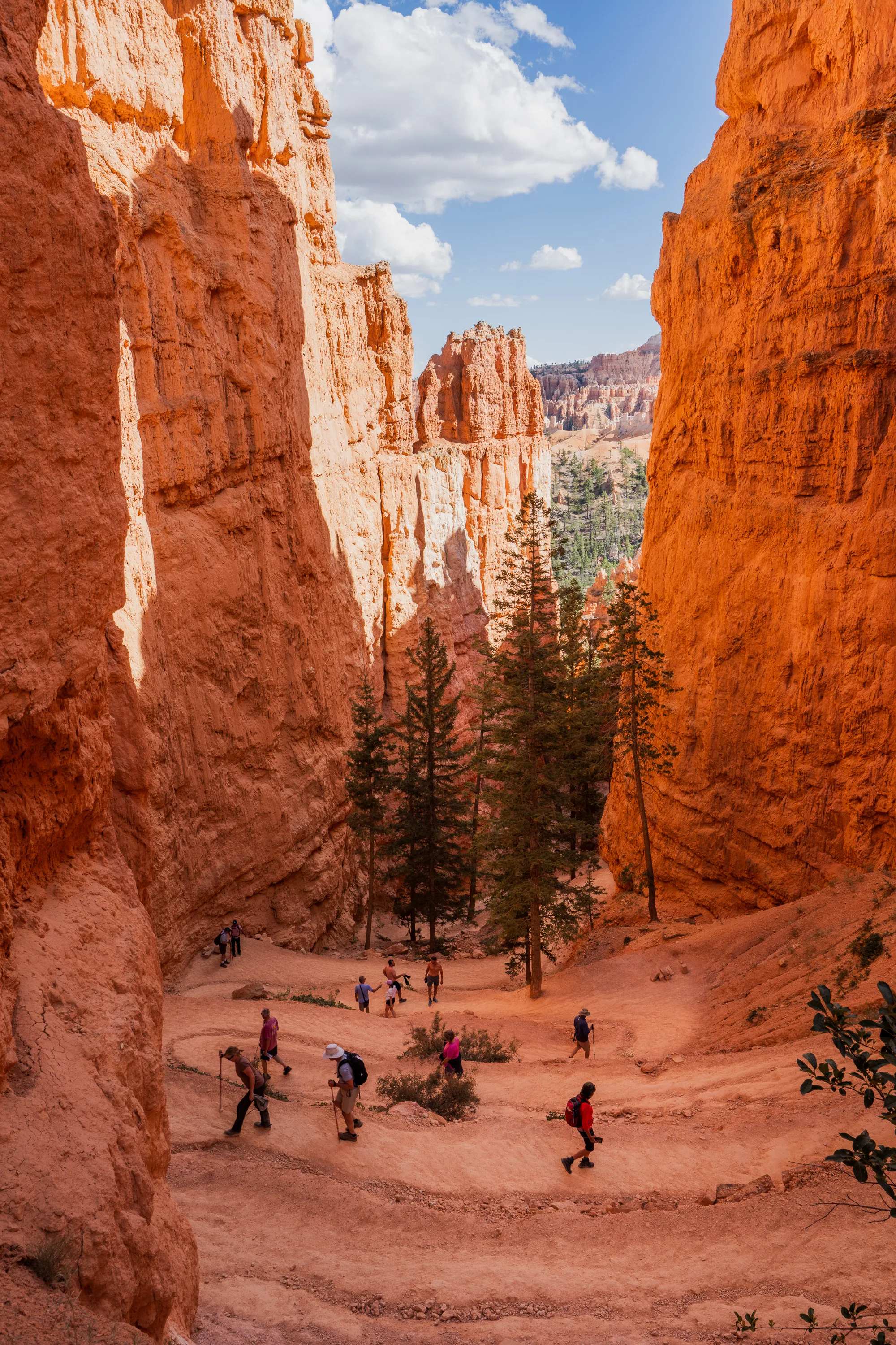 Hiking down into the Amphitheater