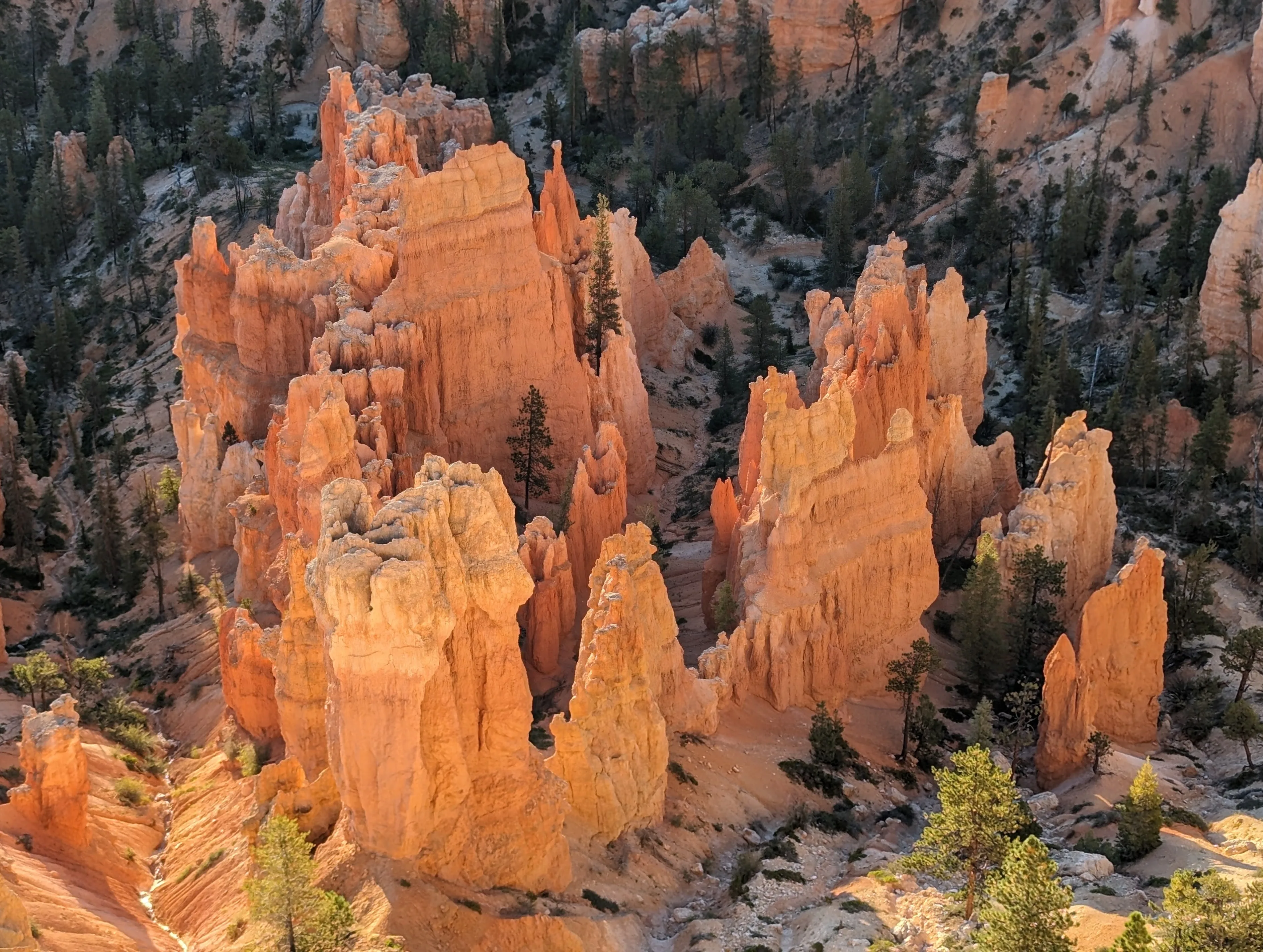 Sunrise from Inspiration Point