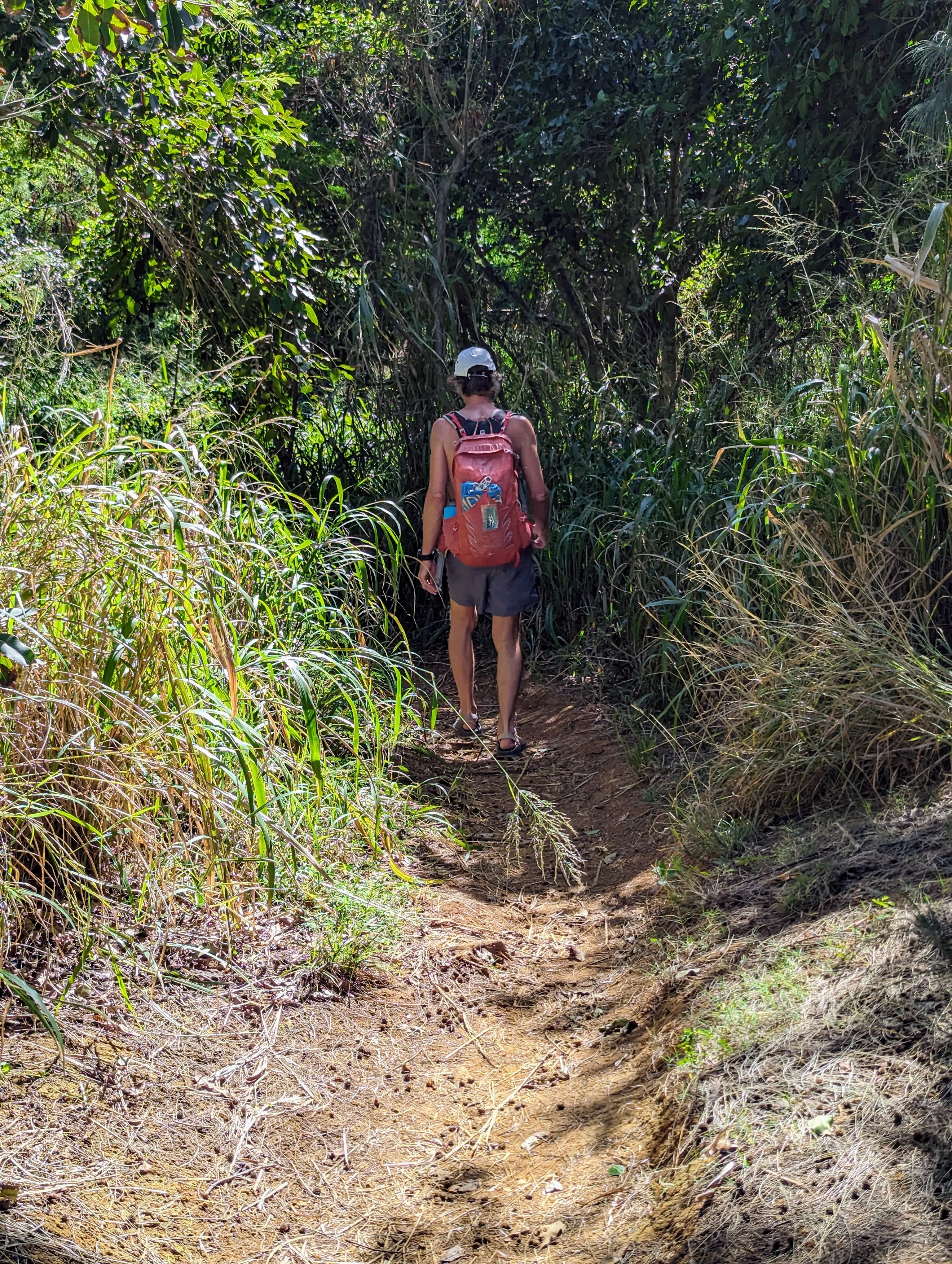Trail to Larsen's Beach