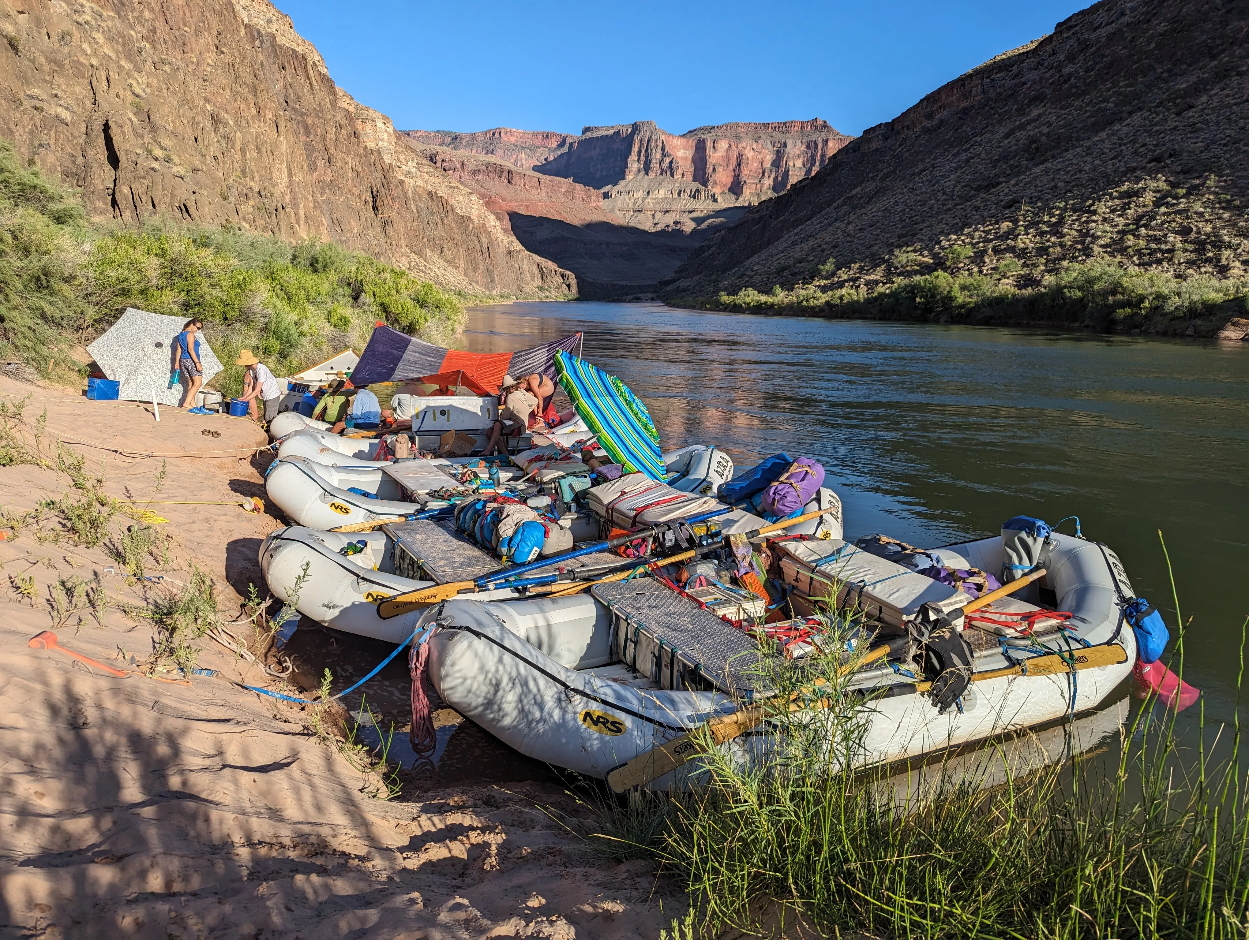 Safelyl settled into camp