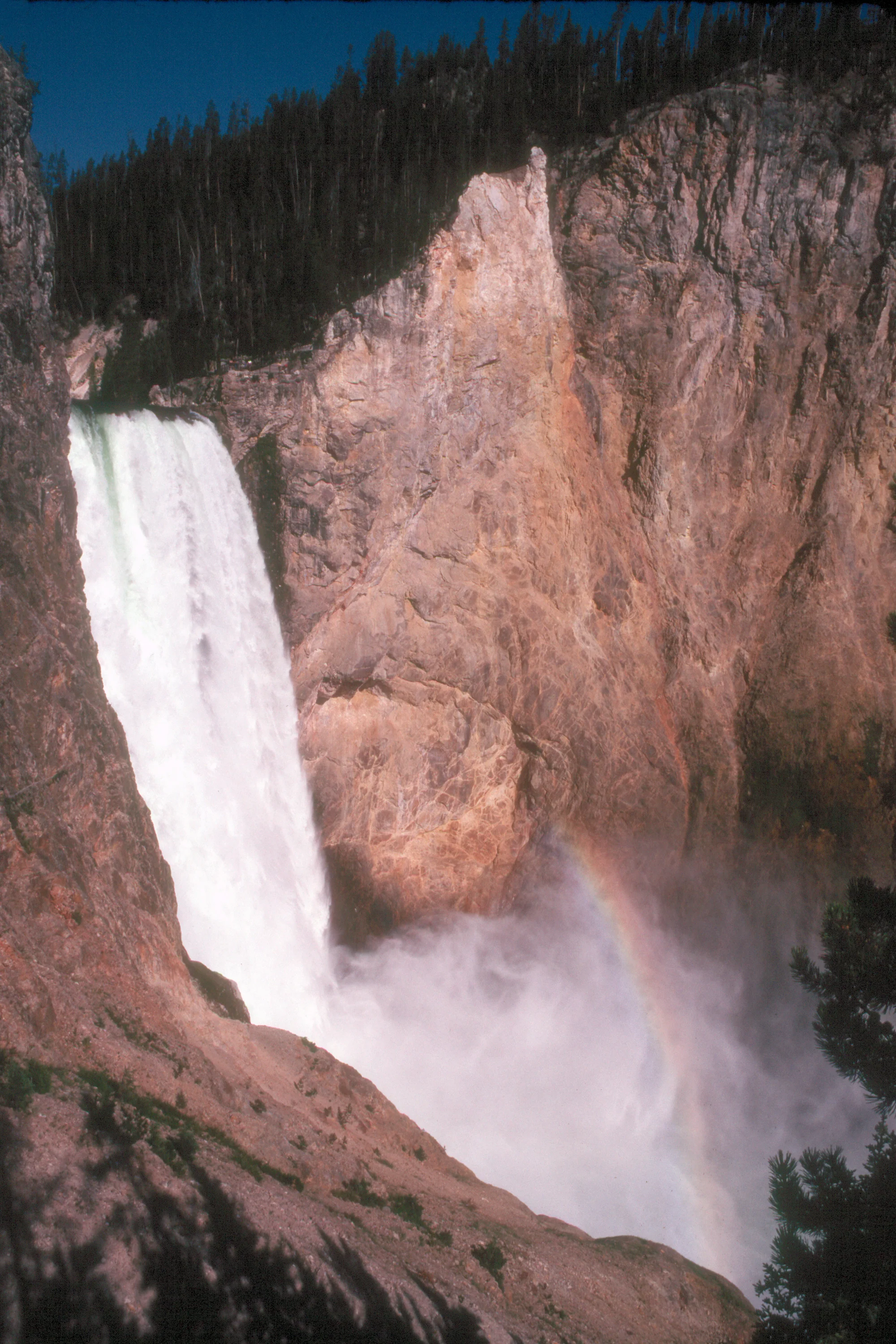 Lower Yellowstone Falls