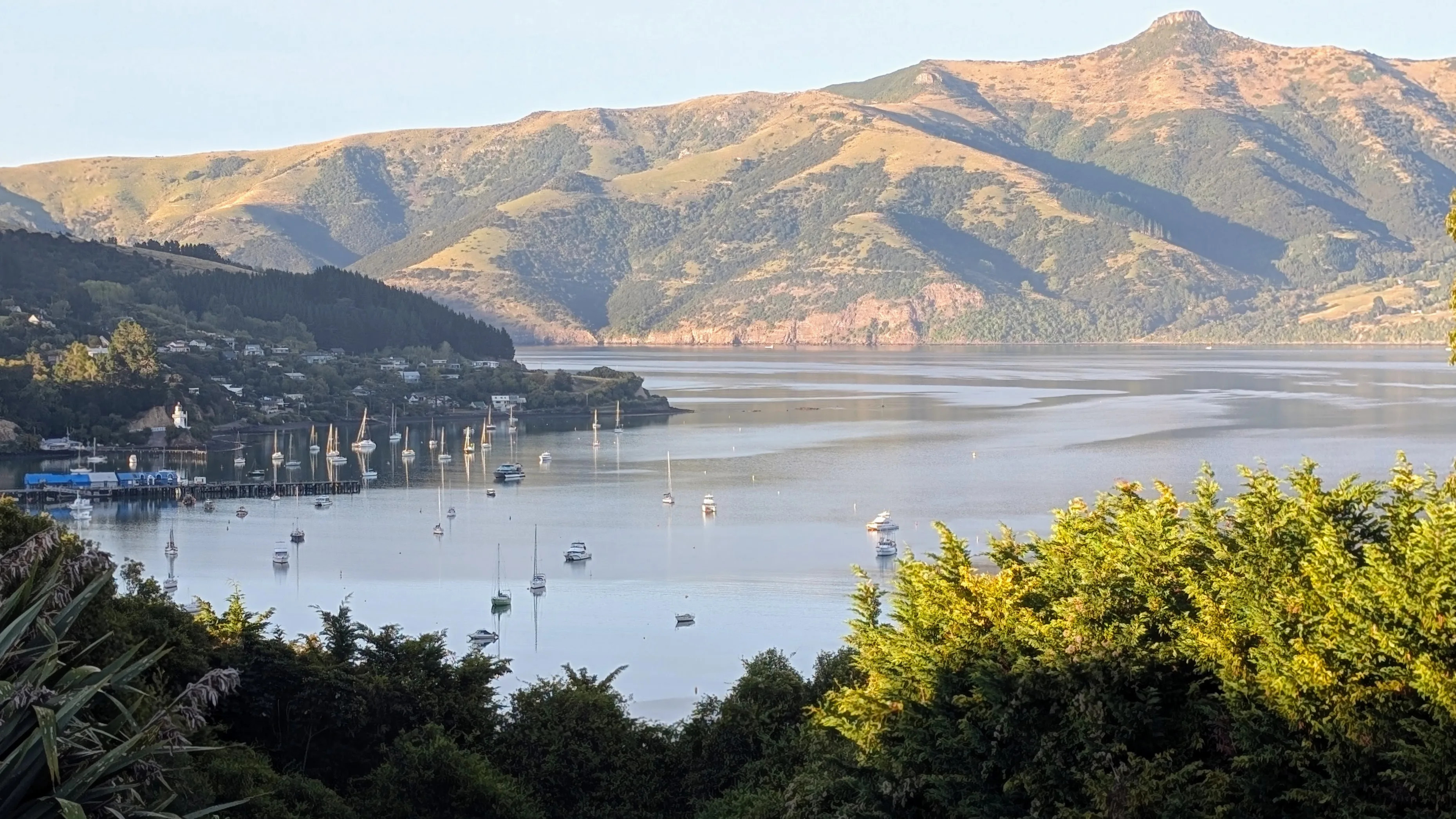 View of Akaroa Harbor from our campsite