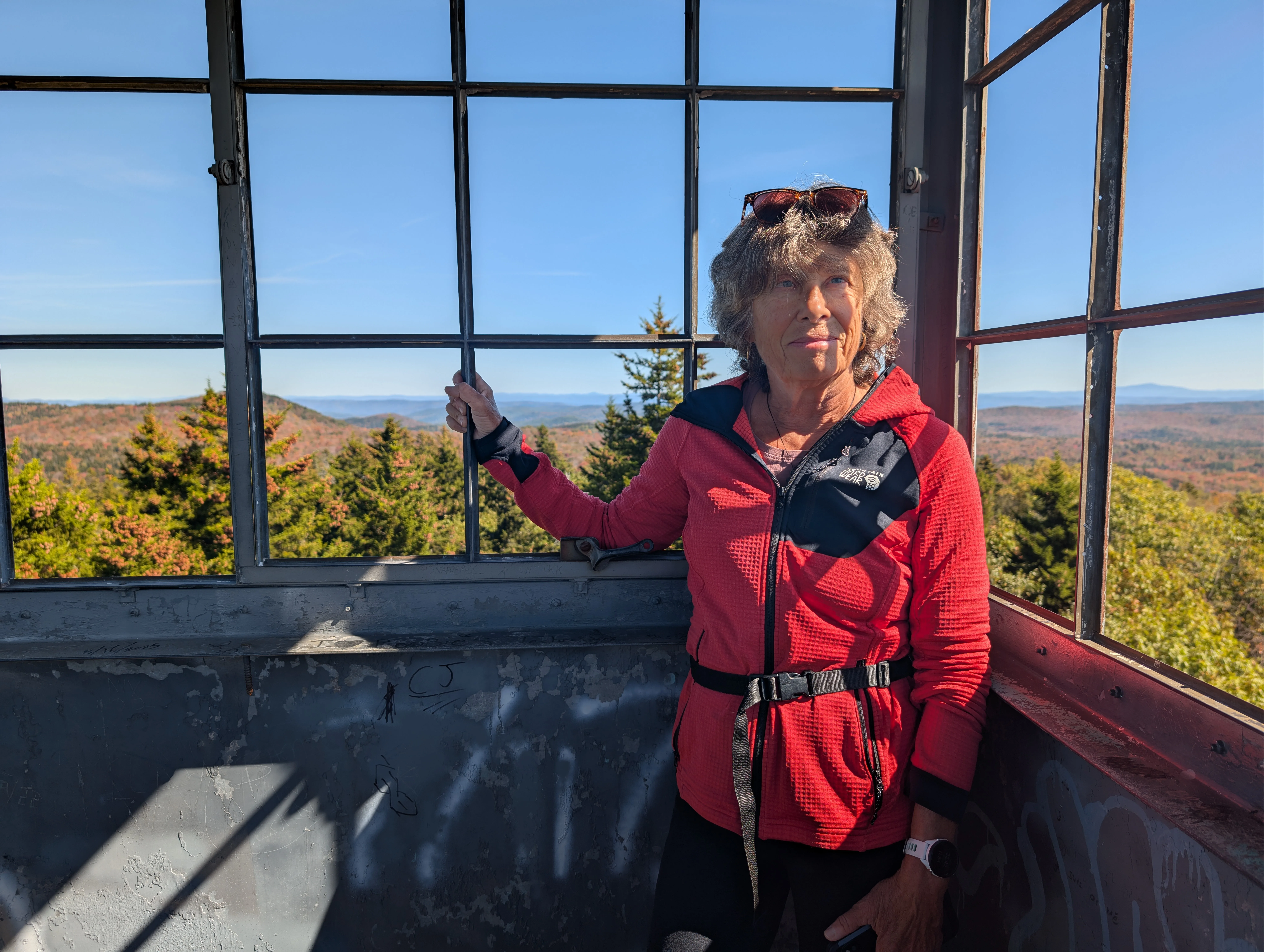 Top of the fire tower