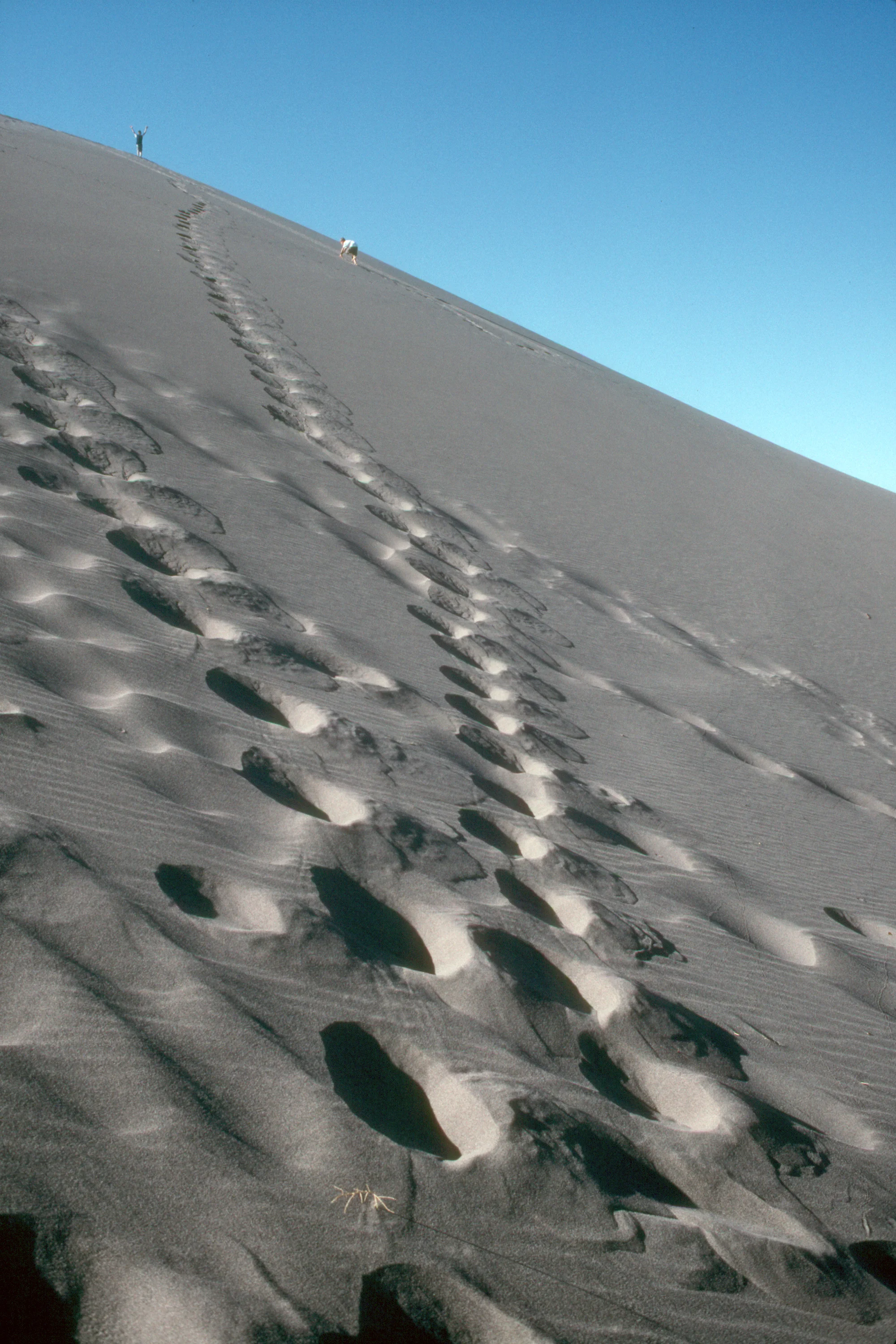 Steep Bruneau Dune Ascent