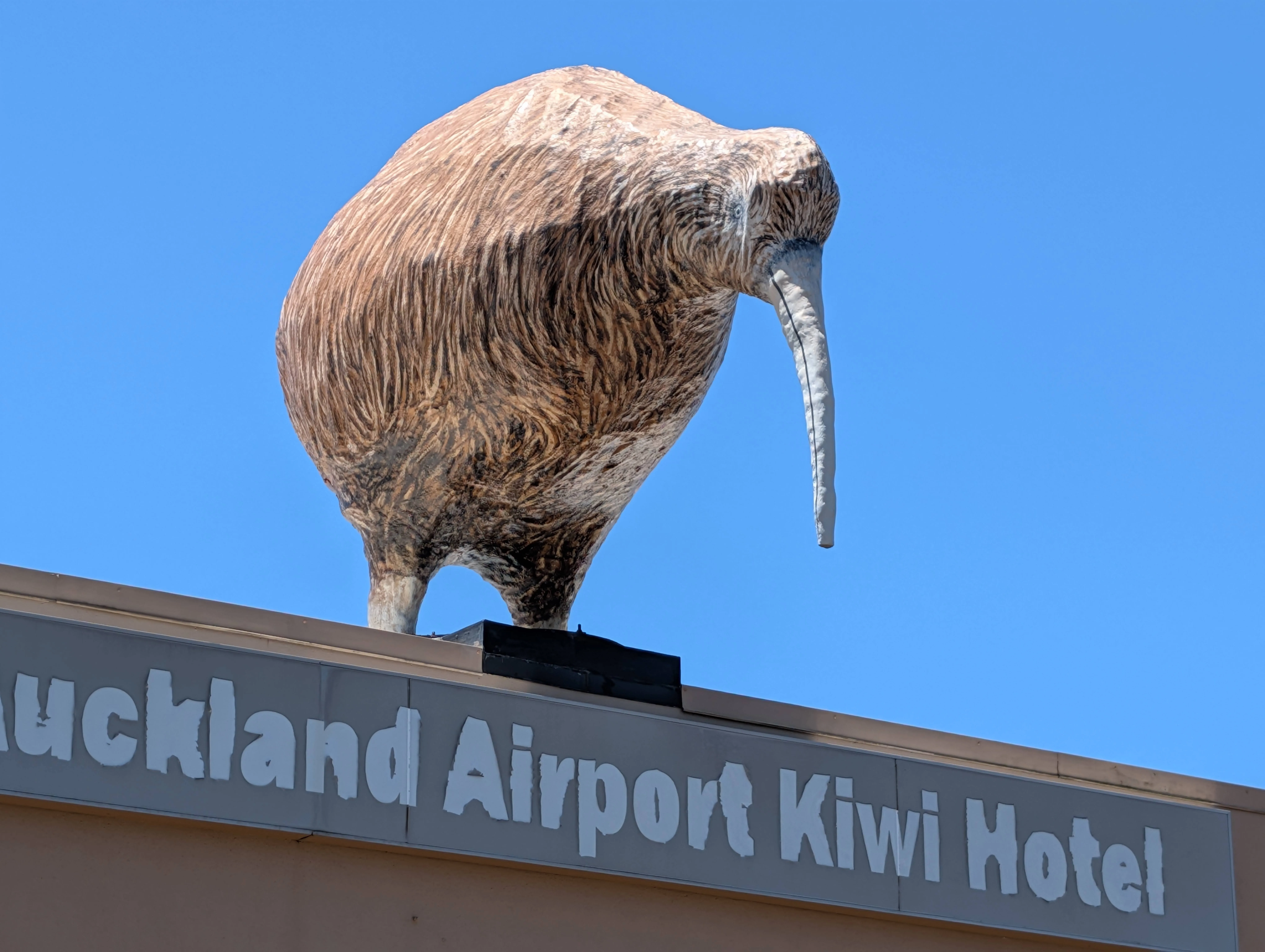 Land of the Kiwi