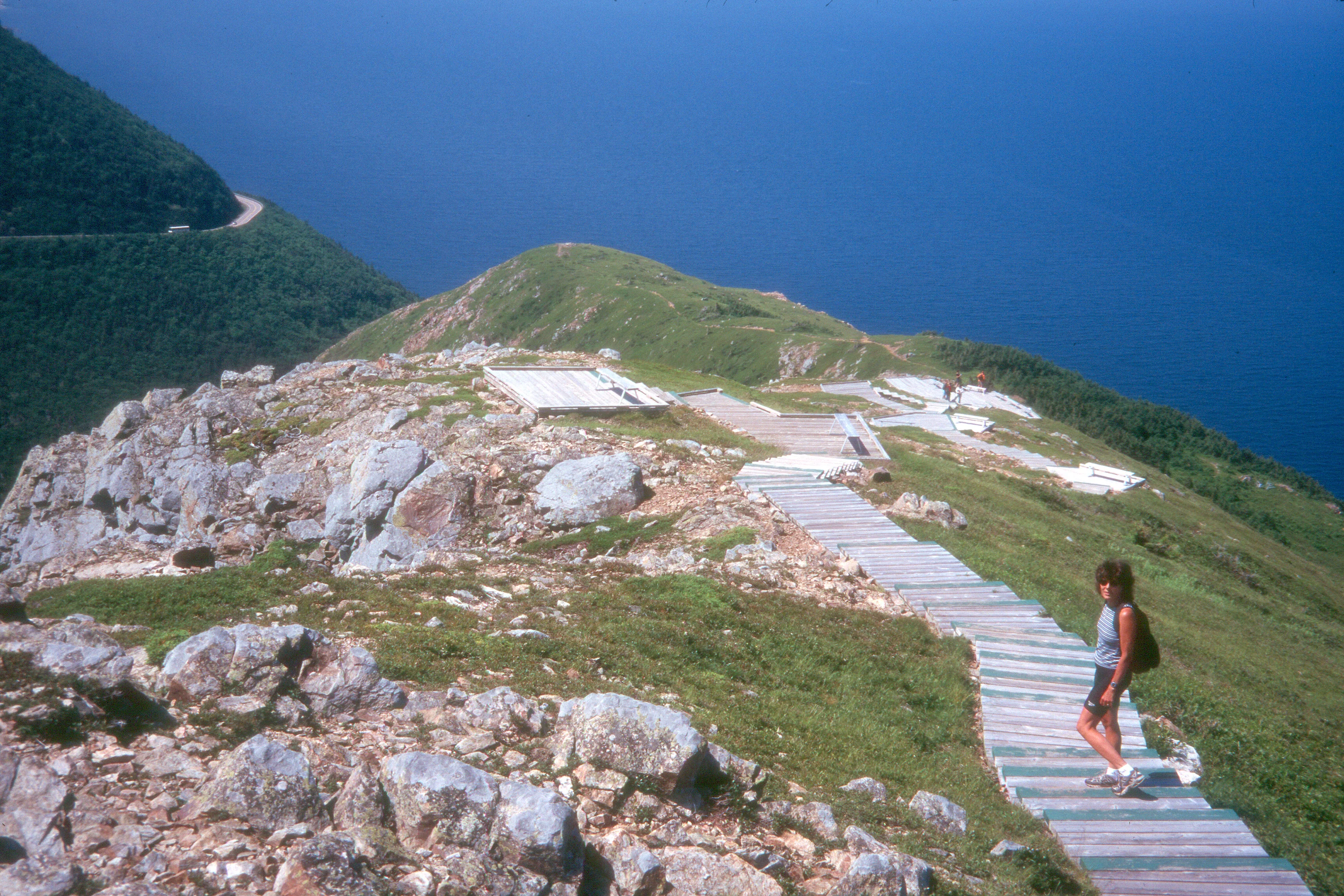 Lolo at Skyline Trail Overlook