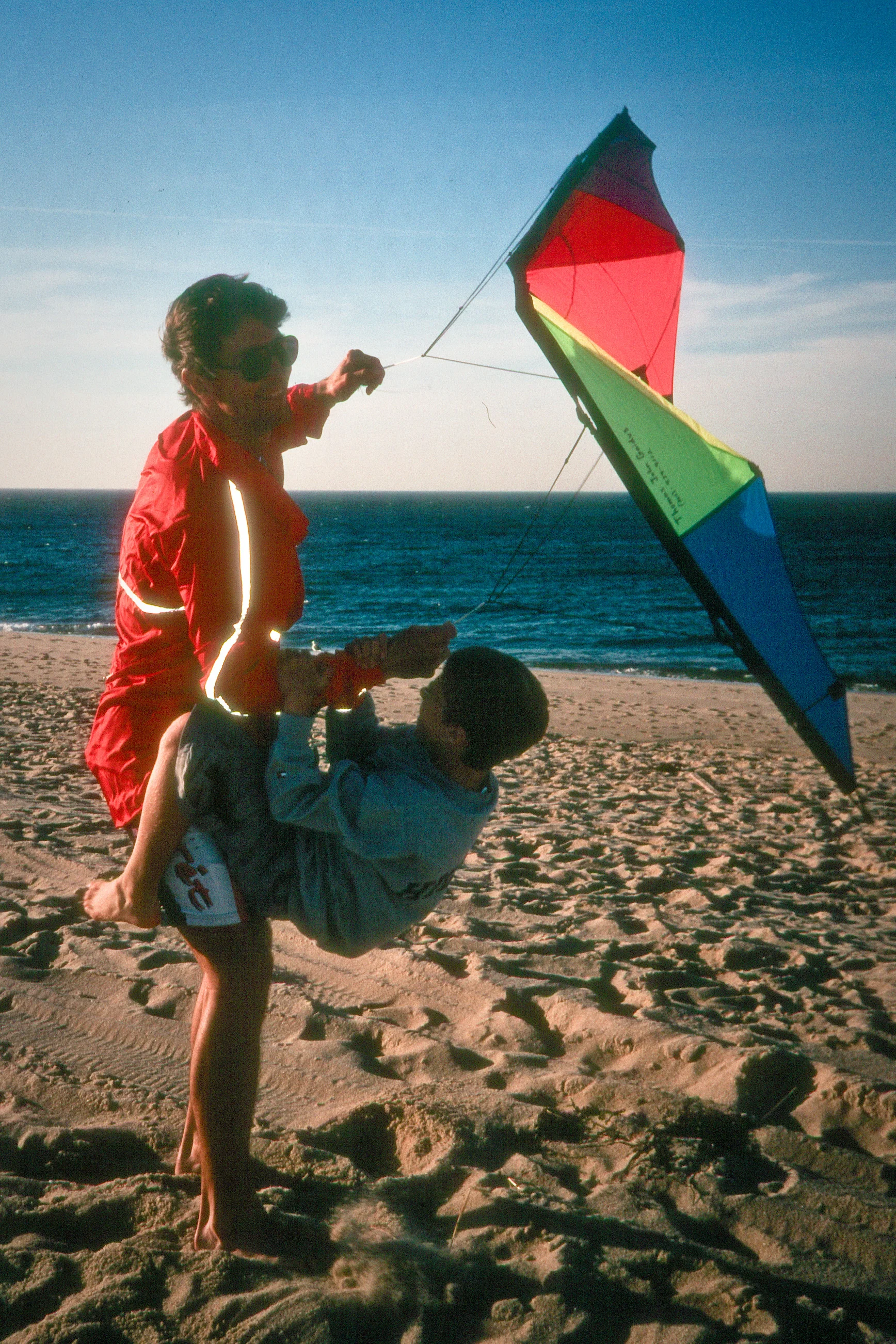 Herb flying offspring and kite