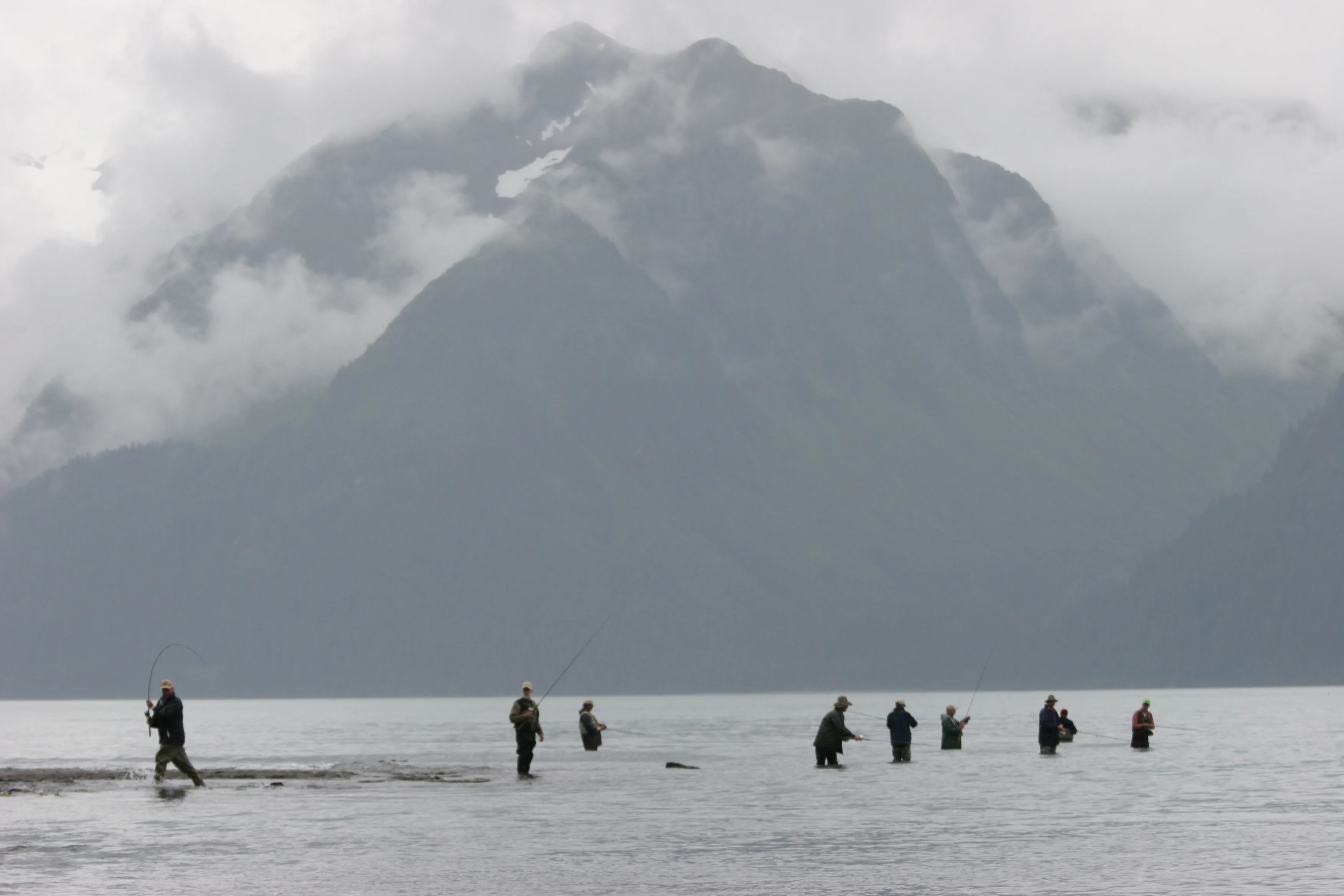 Lolo at Zabriski Point Overlook
