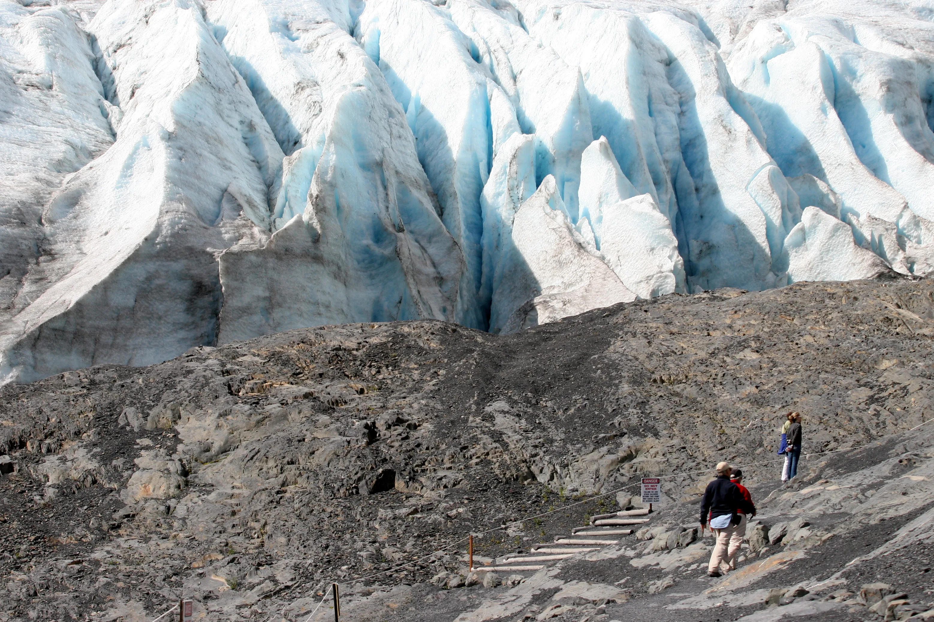Lolo enjoying the view from the deck