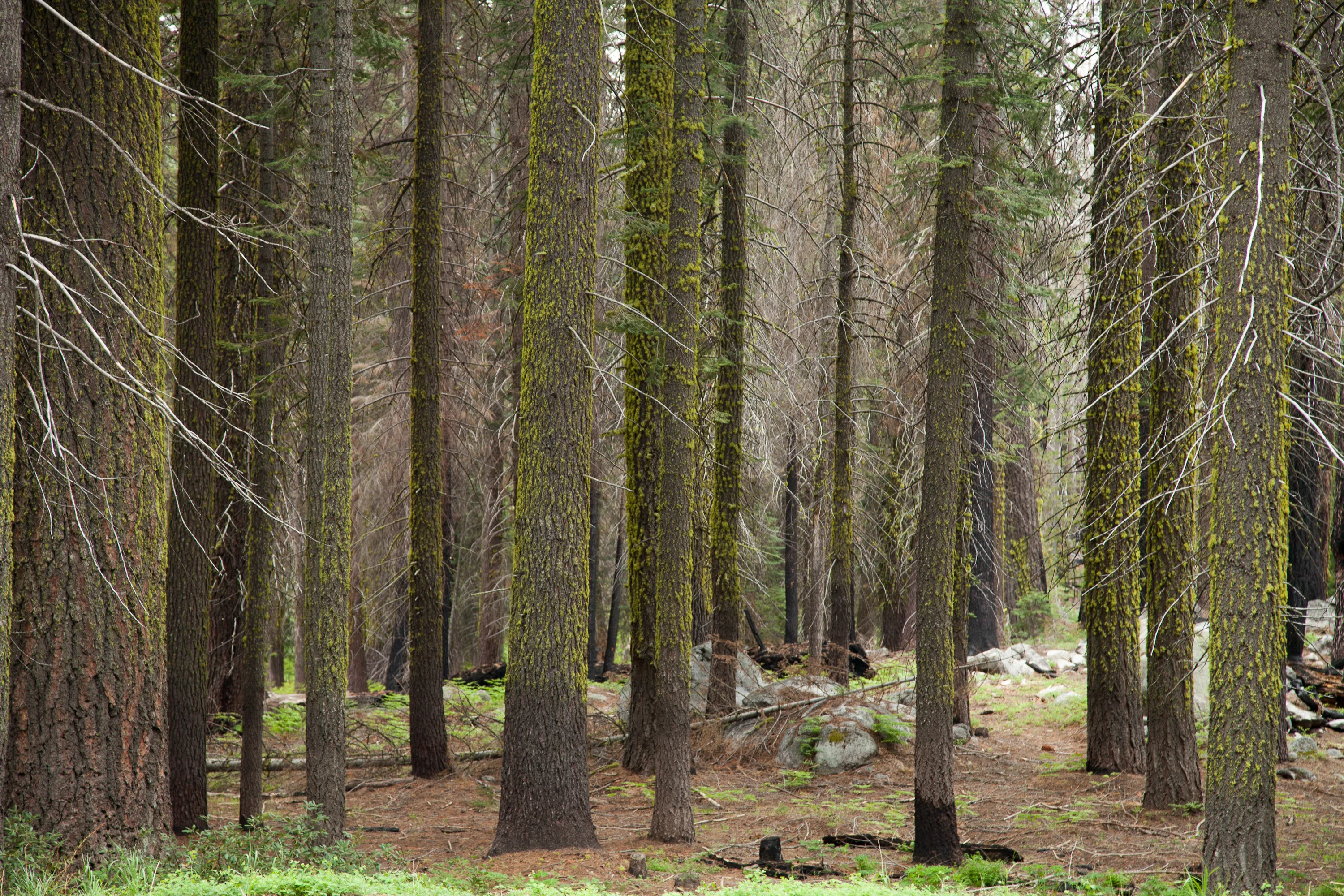 Leaving Yosemite Valley