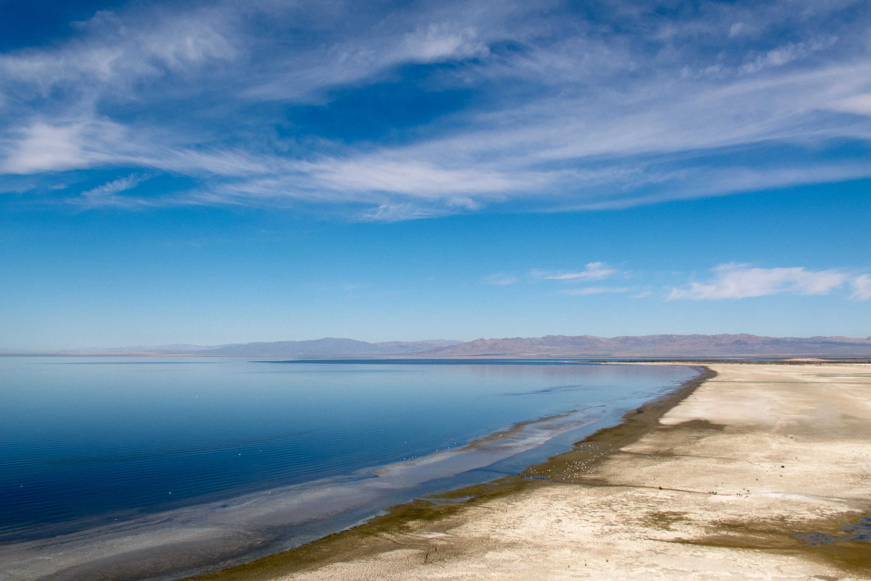 Salton Sea
