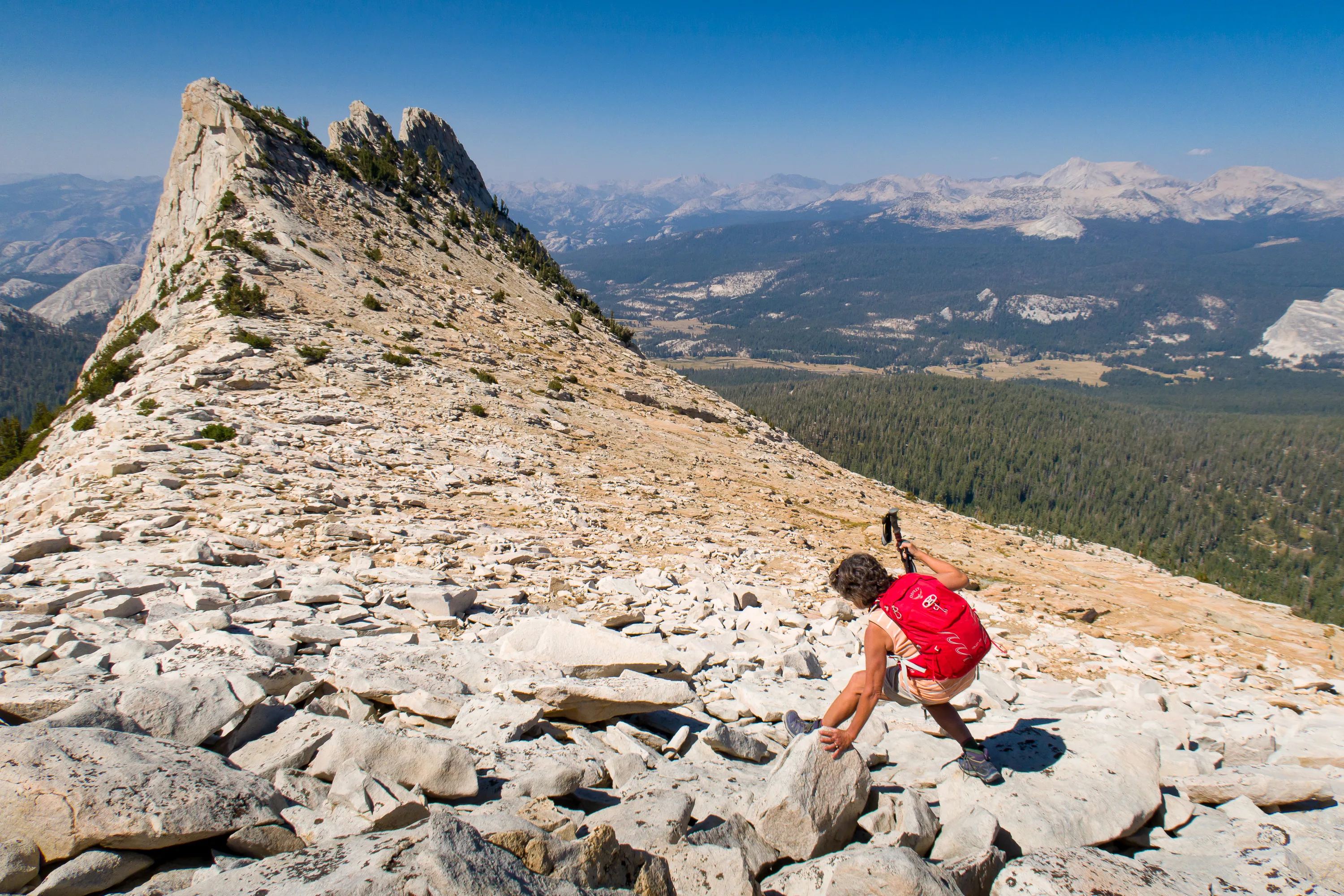 Lolo loving the talus field