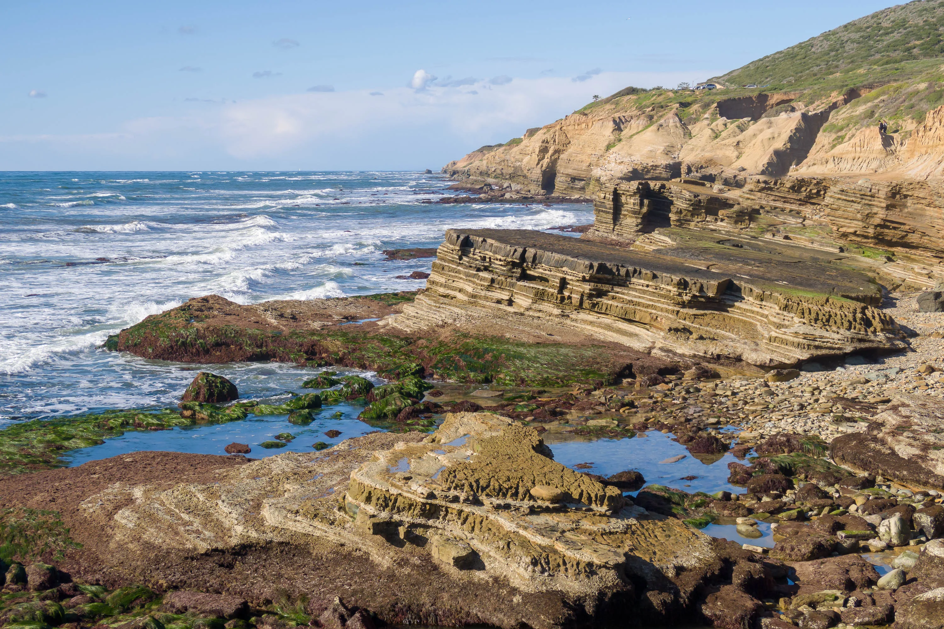 Point Loma tide pools