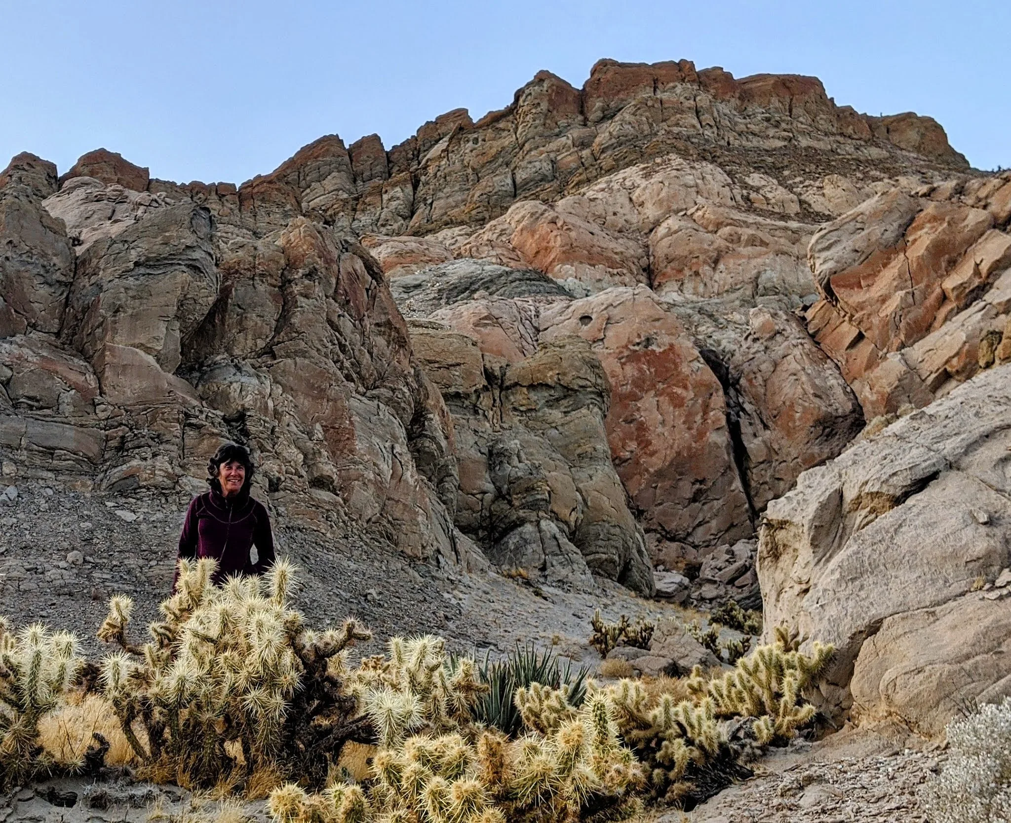 Lolo amongst the Cholla