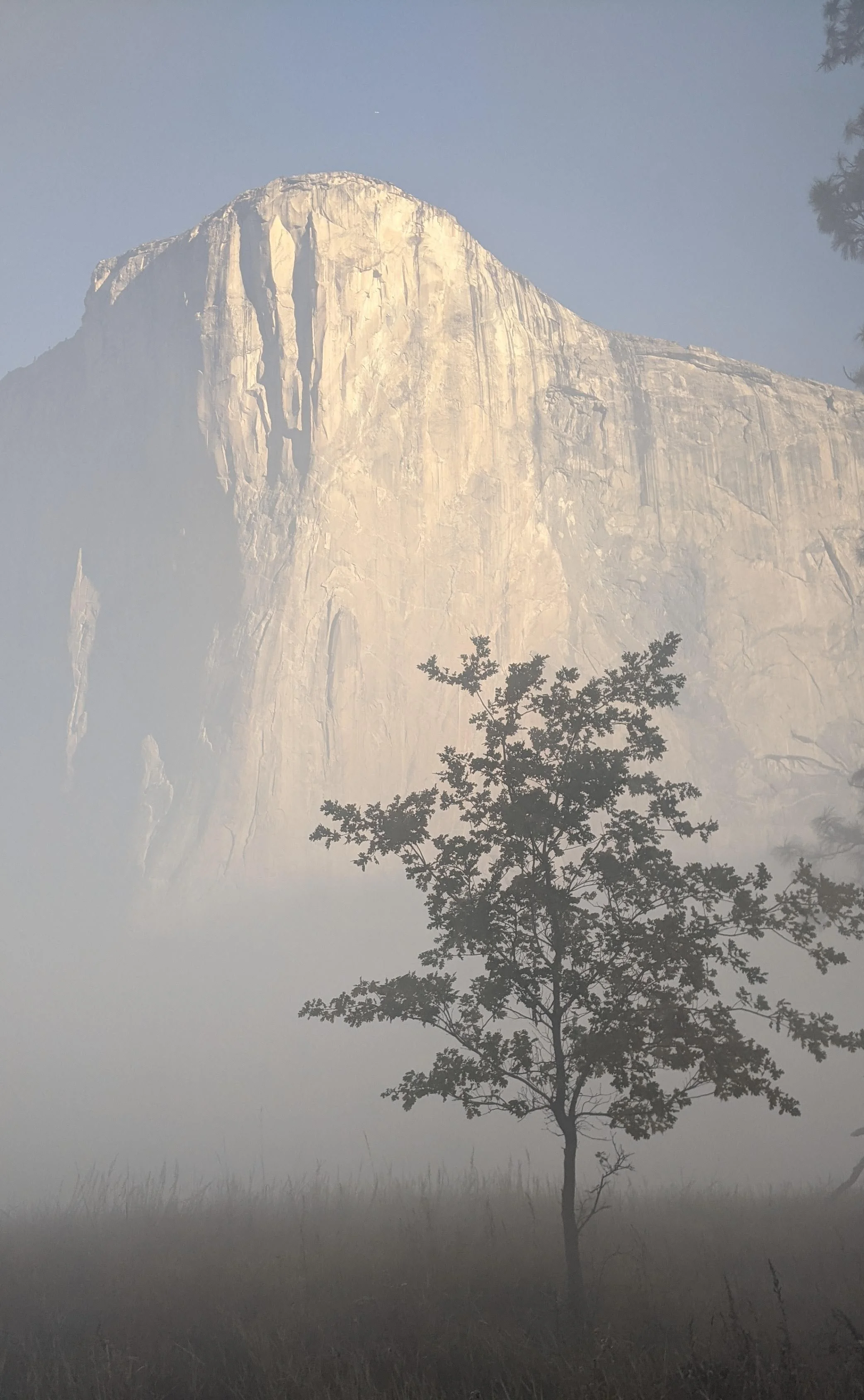 El Cap, I know you're in there somewhere