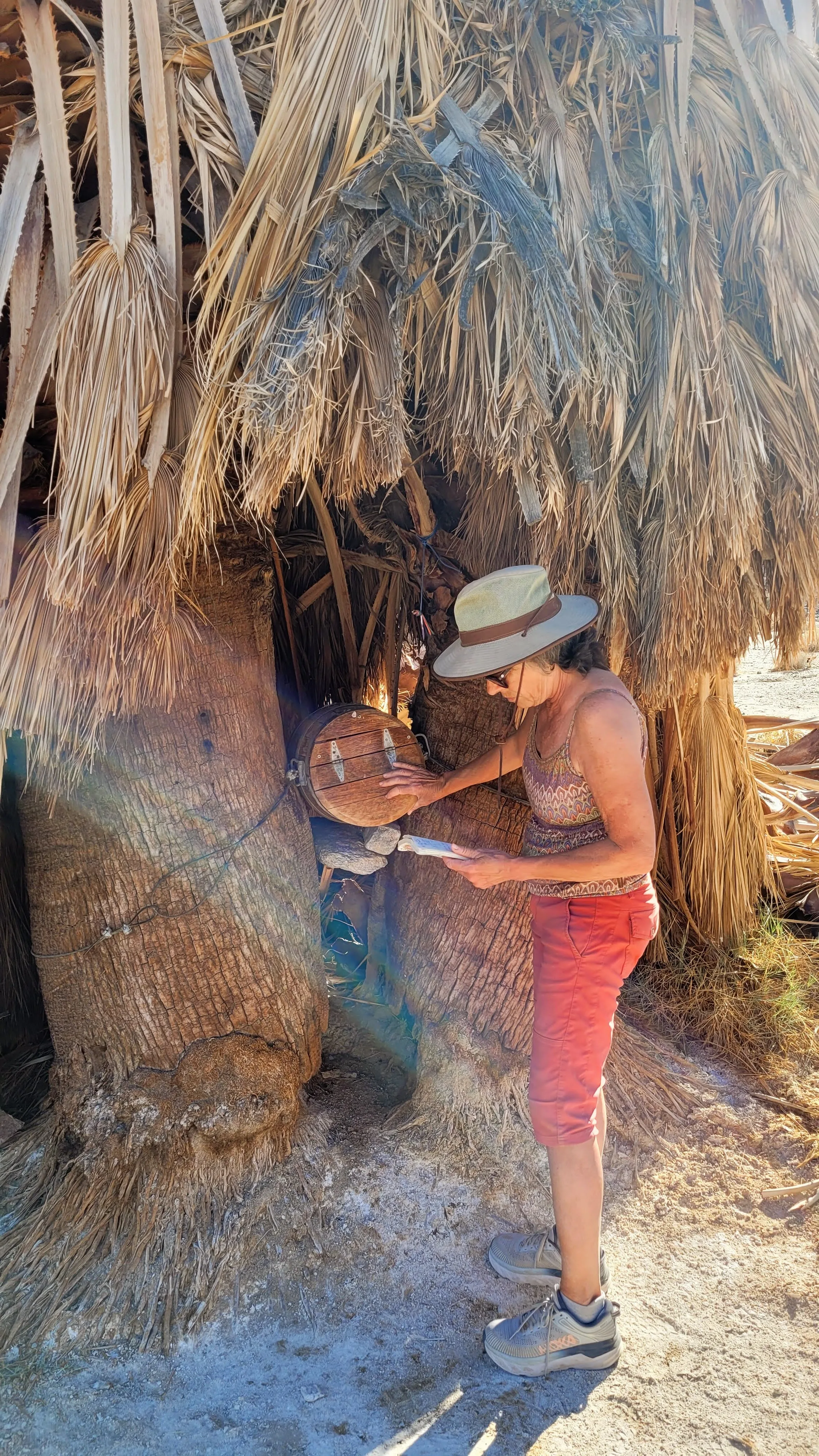 Lolo at the desert post office