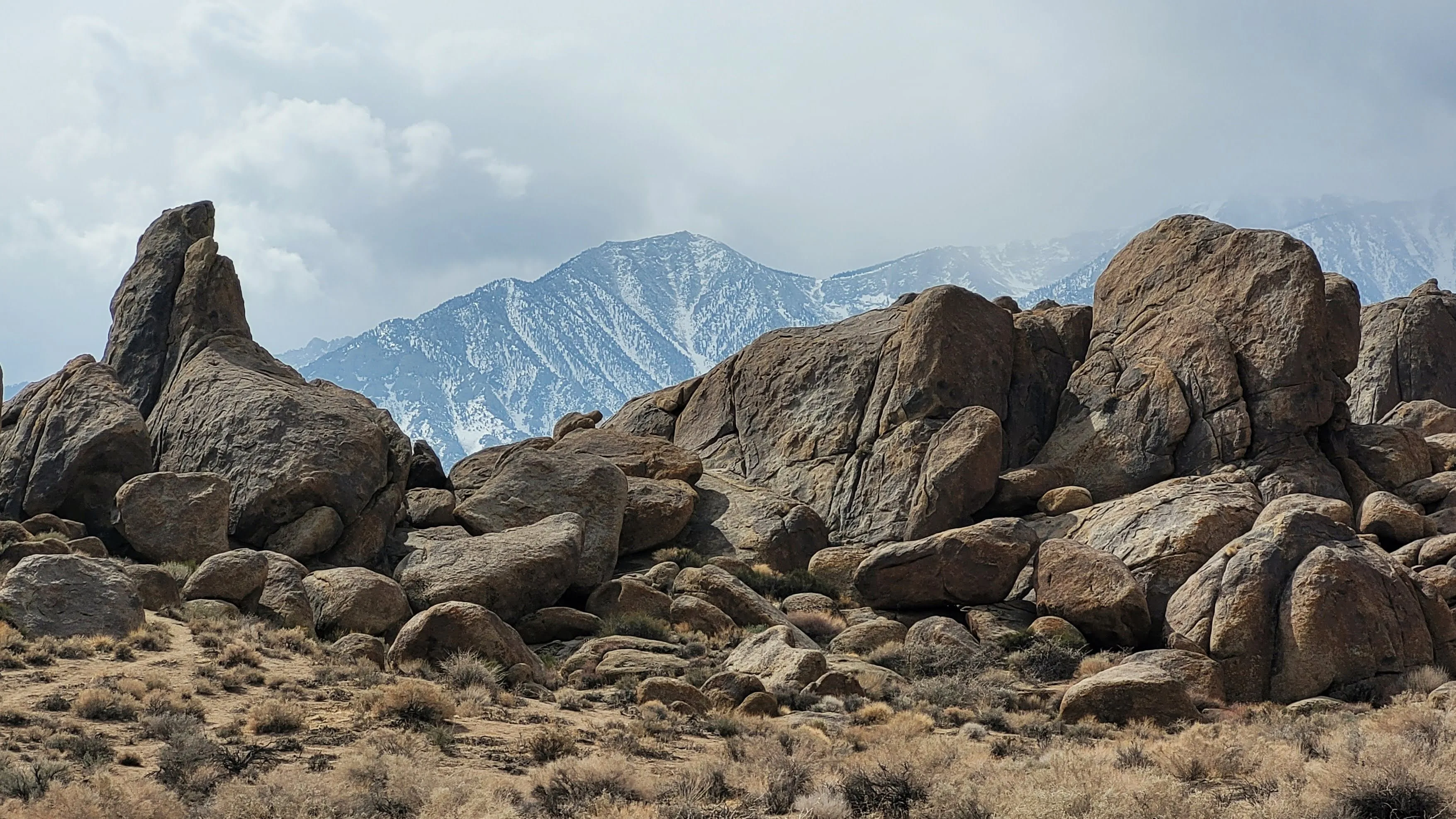 Mt. Whitney from Movie Flat Road